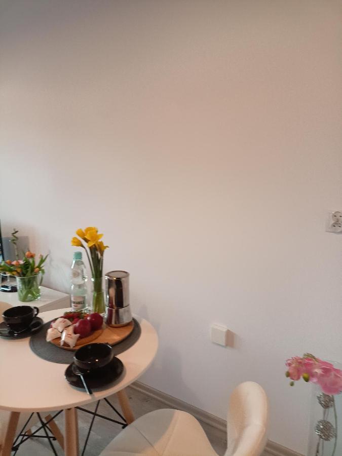 Ferienwohnung Apartament Z Sauna I Jacuzzi Radom Exterior foto